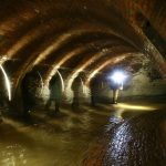 Surprising facts about sewers
