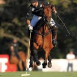Polo terms & phrases to know